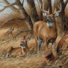 Схема вышивки «№1737475»