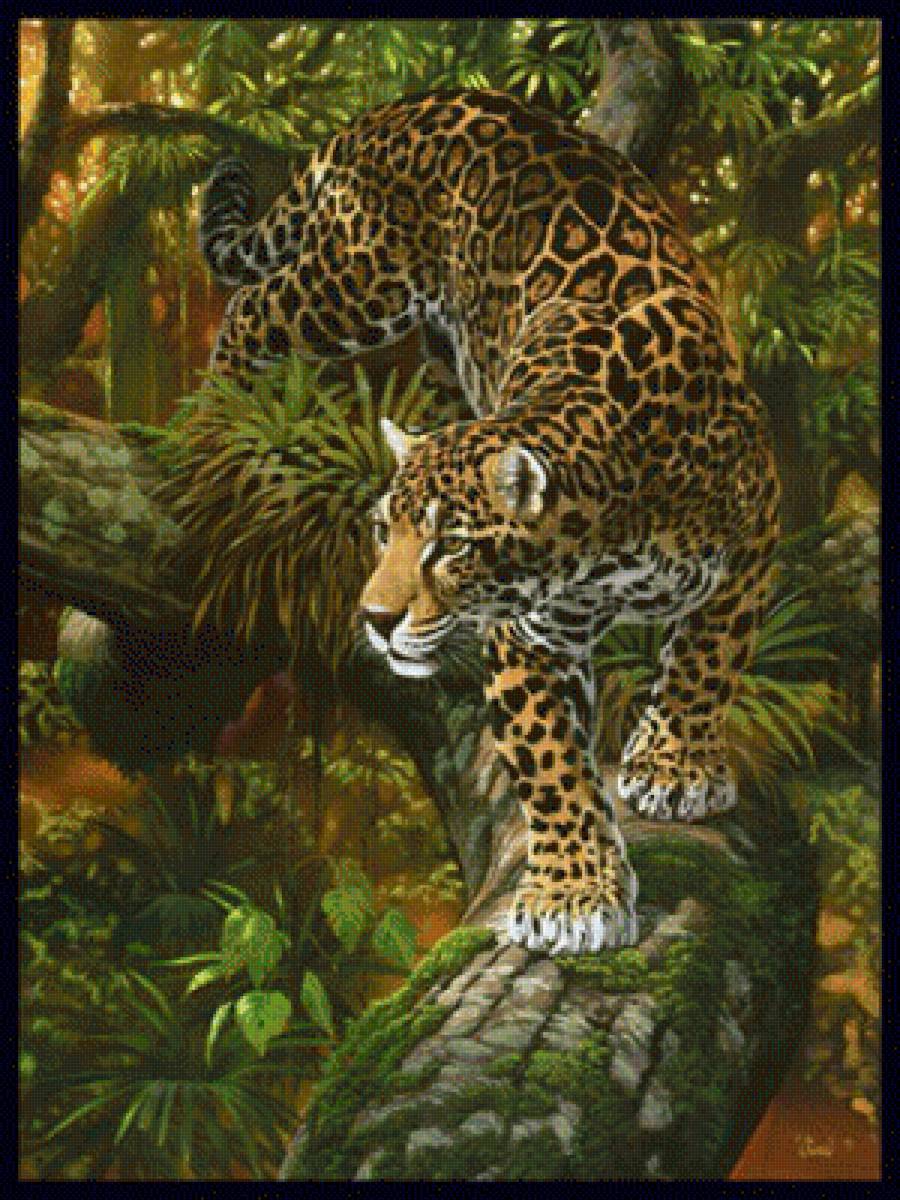 леопард - предпросмотр