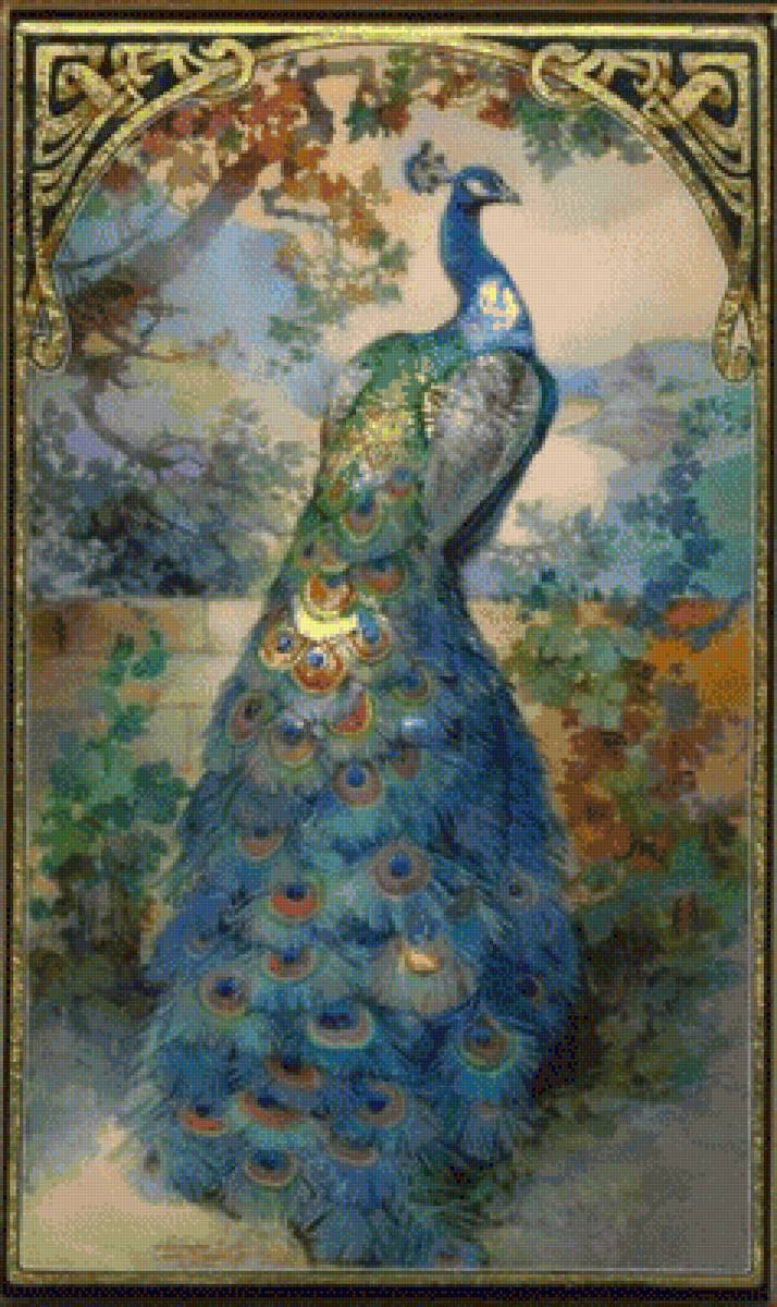 павлин - павлин - предпросмотр