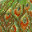 Предпросмотр схемы вышивки «павлин» (№1737846)
