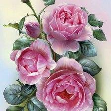 Схема вышивки «розы»