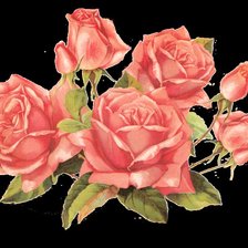 Схема вышивки «розы»