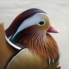 Схема вышивки «Мандаринка»