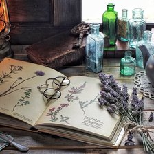 Схема вышивки «Лаванда»