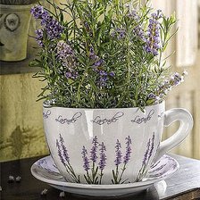 Схема вышивки «Лаванда в чашке»