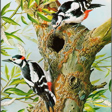 Схема вышивки «Семья дятлов»