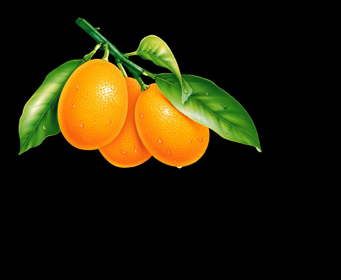 Кумкват, цитрусовые - на черном, фрукты - оригинал