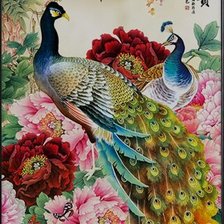 Схема вышивки «павлин»