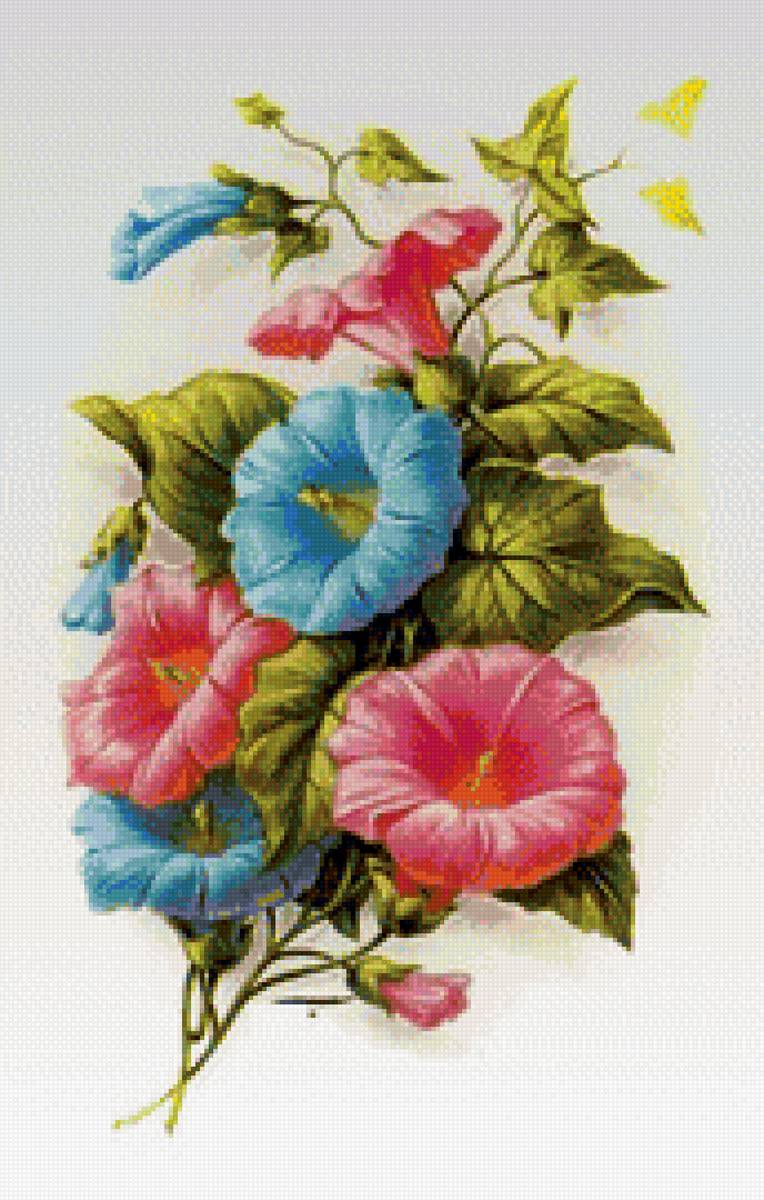 Вьюнок - вышивка крестиком - предпросмотр