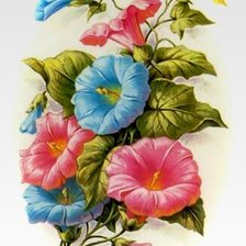 Схема вышивки «Вьюнок»