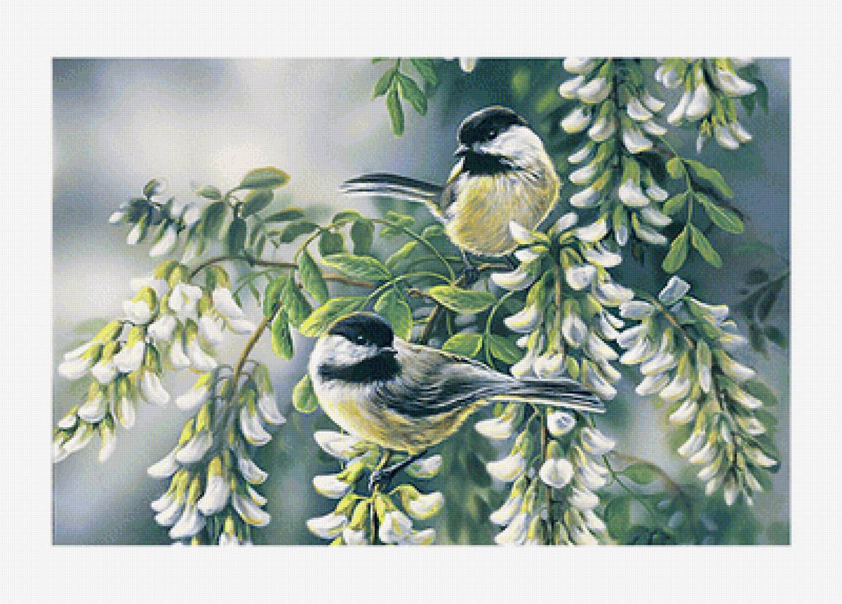 Серия "Птицы" - фауна, птицы - предпросмотр