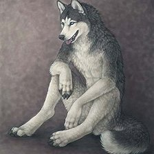 Схема вышивки «Собака»