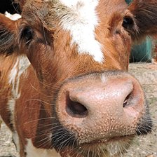 Схема вышивки «№1740072»