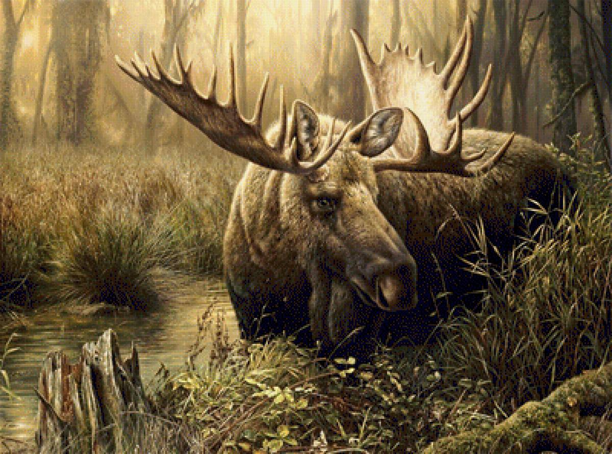 ЛОСЬ - предпросмотр