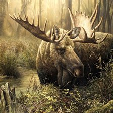 Схема вышивки «ЛОСЬ»