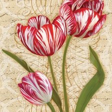 Схема вышивки «тюльпаны»