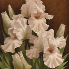 Схема вышивки «ирисы»