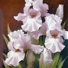 Схема вышивки «ирисы»