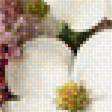 Предпросмотр схемы вышивки «жасмин» (№1740398)