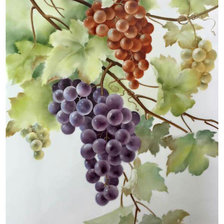 Схема вышивки «виноград»