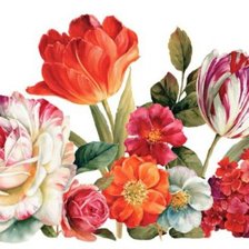 Схема вышивки «№1740778»