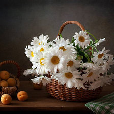 Схема вышивки «ромашки»