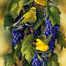 Схема вышивки «птички»