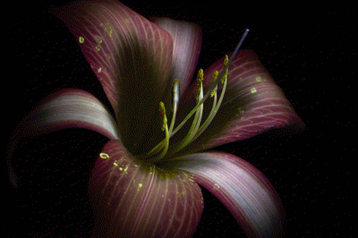 Лилия - цветок, лилия, цветы, интерьер - предпросмотр