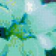 Предпросмотр схемы вышивки «Питтоспорум» (№1741011)