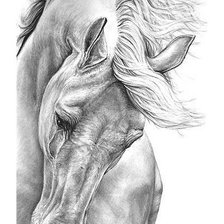 Схема вышивки «Серия "Кони"»