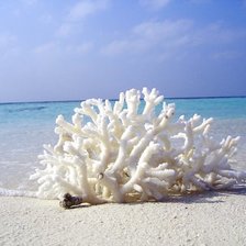 Схема вышивки «море»