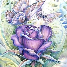 Схема вышивки «Бабочки.»