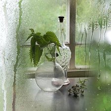 Схема вышивки «Натюрморт.»