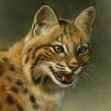 Схема вышивки «№1741306»