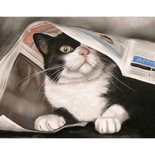 Схема вышивки «№1741391»