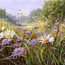 Схема вышивки «ромашки»