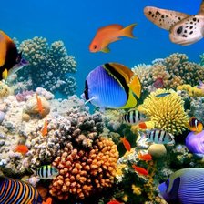 Схема вышивки «море»