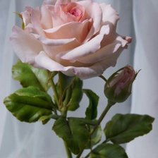 Схема вышивки «№1741659»