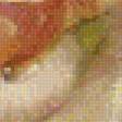 Предпросмотр схемы вышивки «розы» (№1741692)