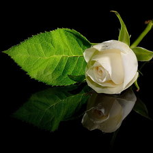 Схема вышивки «розы»