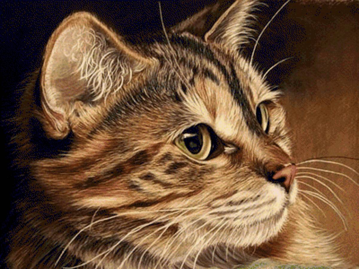 кот - предпросмотр