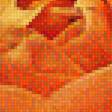 Предпросмотр схемы вышивки «розы» (№1741844)