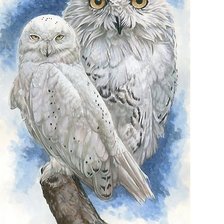 Схема вышивки «№1742026»