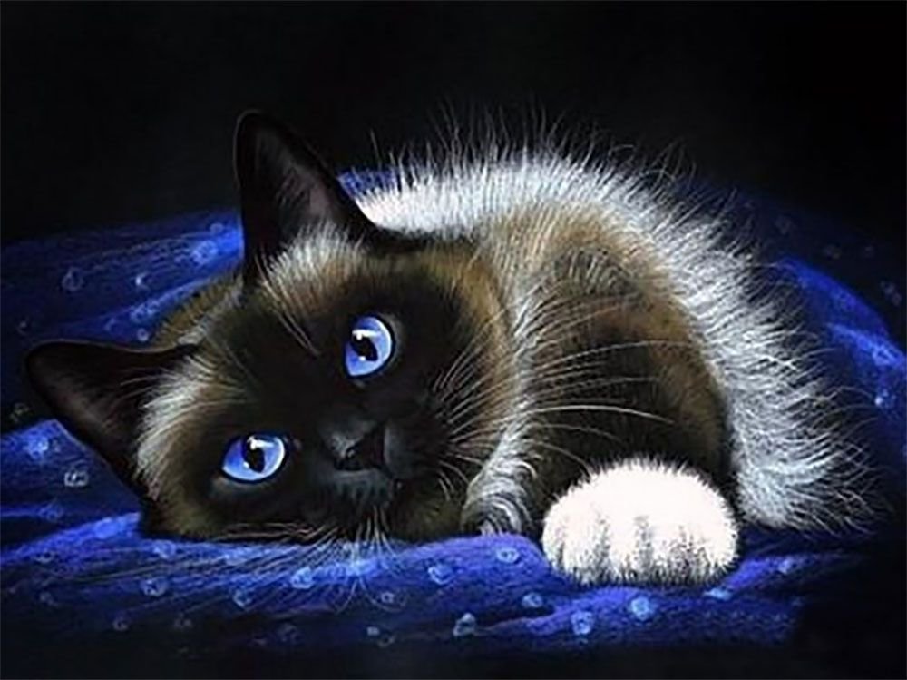 Кошка 2 - кошка, животные - оригинал