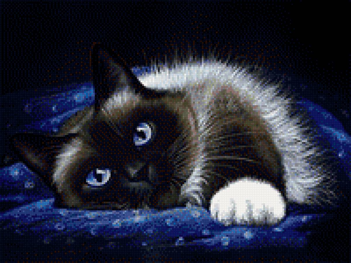 Кошка 2 - животные, кошка - предпросмотр