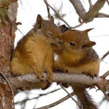 Схема вышивки «№1742446»