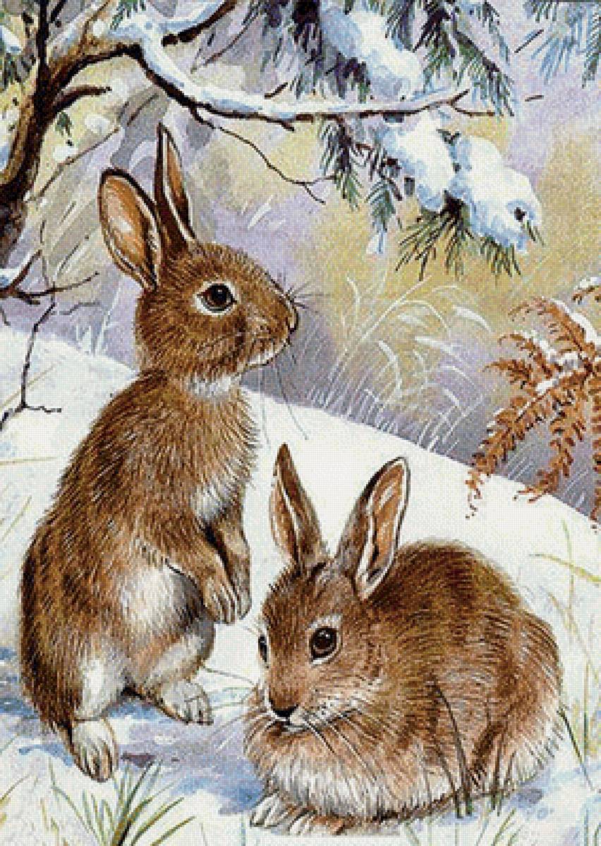 зайцы - природа, животные, зима - предпросмотр