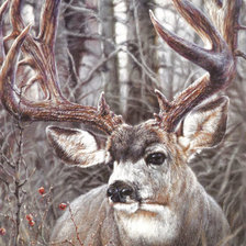 Схема вышивки «Олень»