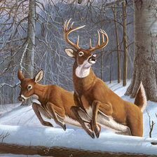 Схема вышивки «Олени»