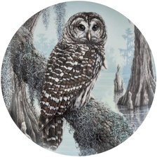 Схема вышивки «Филин»